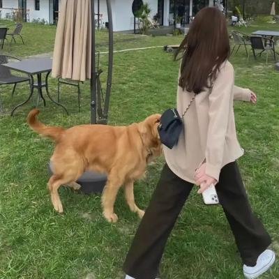 恶灵婴弑
